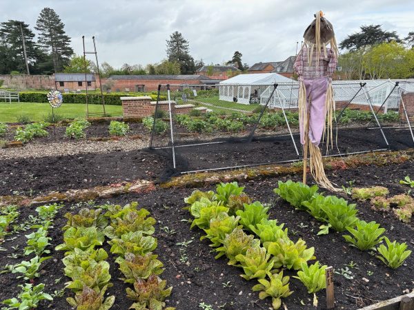 The Walled Gardens at Croome Court 1
