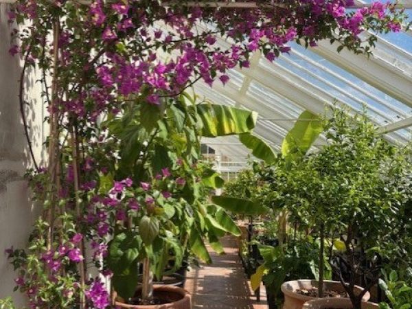 The Walled Gardens at Croome Court 3