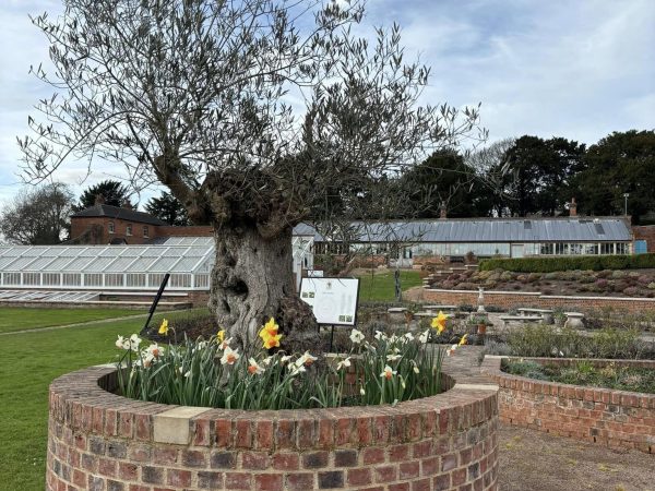 The Walled Gardens at Croome Court 7