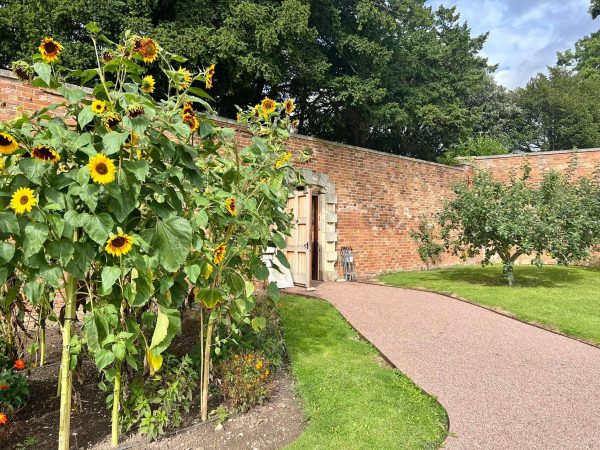 The Walled Gardens at Croome Court 9