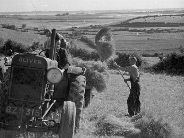 Thomas Ferguson Irish Linen 3