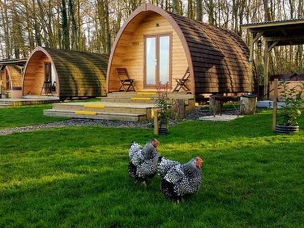 Thornfield Camping Cabins 1