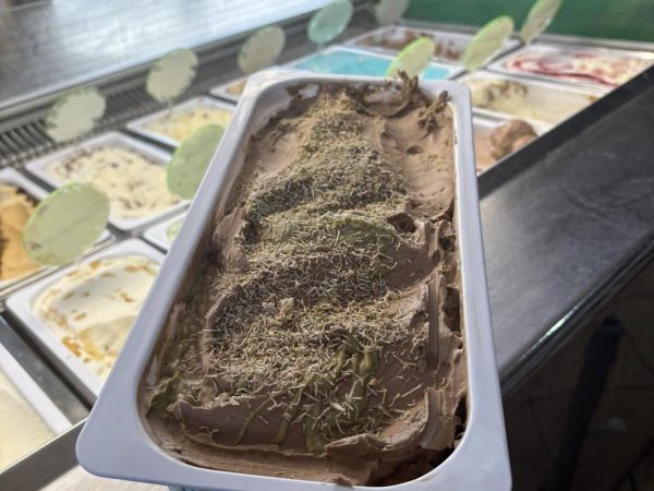 Tickety Moo Ice Cream Farm 3