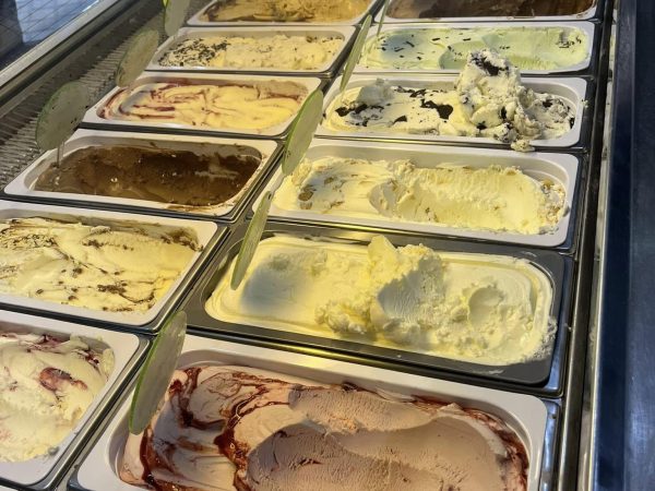 Tickety Moo Ice Cream Farm 6