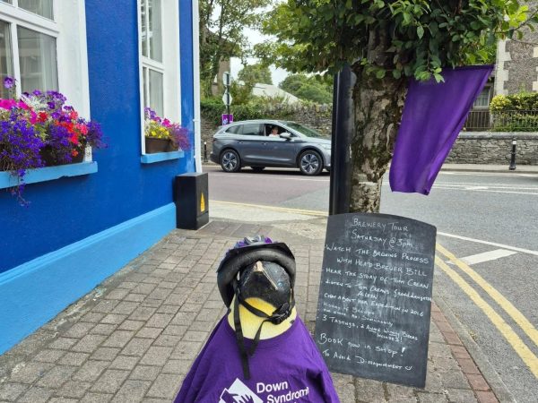Tom Crean Brewery Shop 8