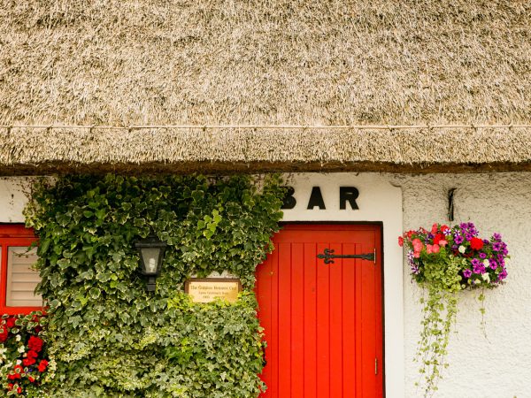 Treacys Bar Restaurant 9