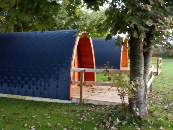 Tree Grove Camping Glamping 2