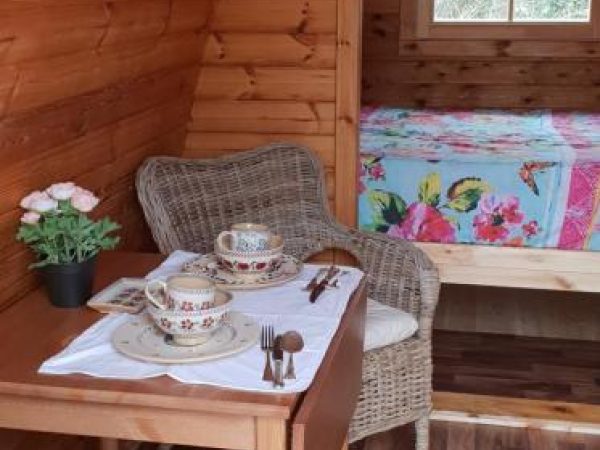 Tree Grove Camping Glamping 4