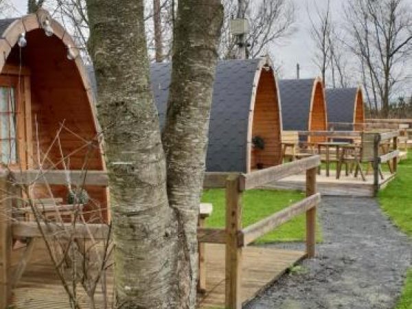 Tree Grove Camping Glamping 6