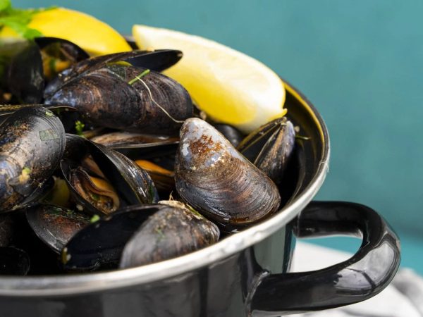 Vaughans on the Prom 6