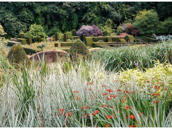 Veddw House Garden 5