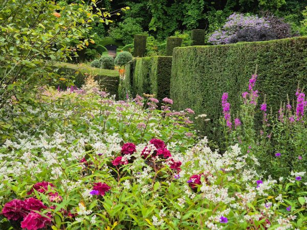 Veddw House Garden 6