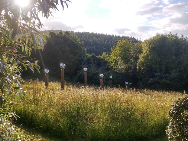 Veddw House Garden 7