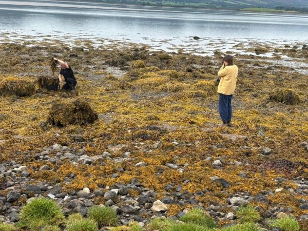 Voya Seaweed Baths 3