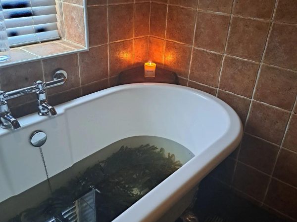 Voya Seaweed Baths 8