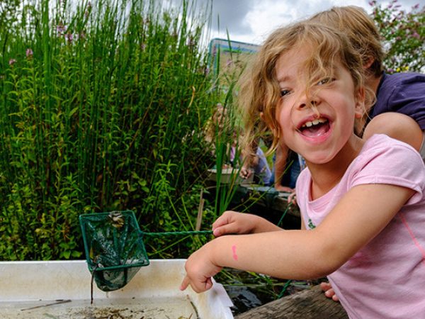 WWT Llanelli Wetland Centre 1