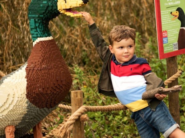 WWT Llanelli Wetland Centre 4