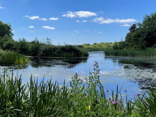 WWT Llanelli Wetland Centre 5