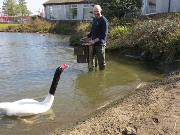 WWT Llanelli Wetland Centre 9