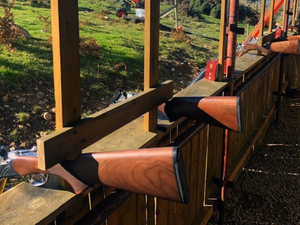 Watchtower Adventures 10