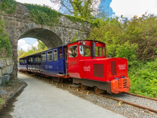 Waterford Suir Valley Railway 8