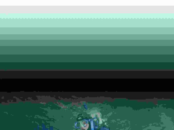 Waterworld Dive Centre 3