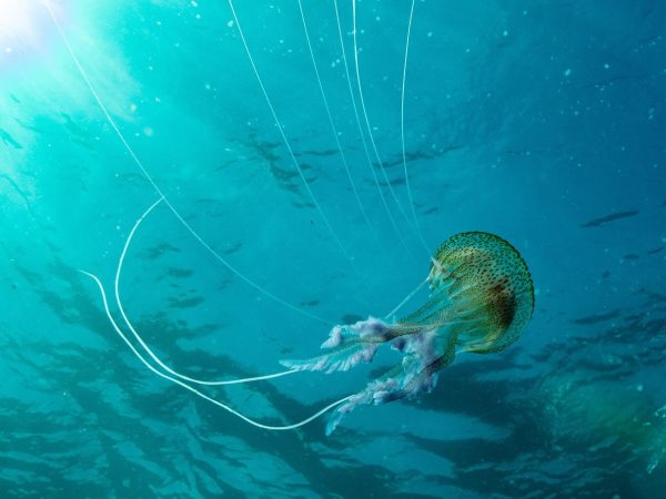 Waterworld Dive Centre 6