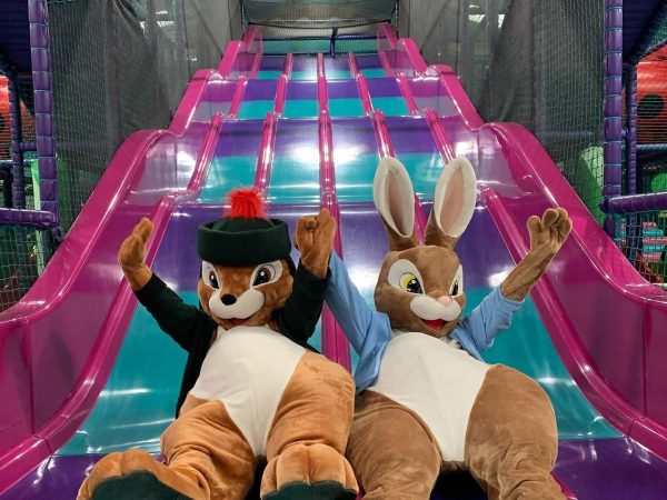 Web Adventure Park 12