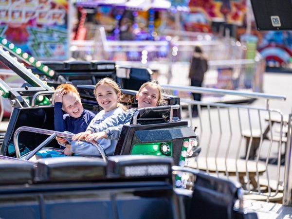 Web Adventure Park 4