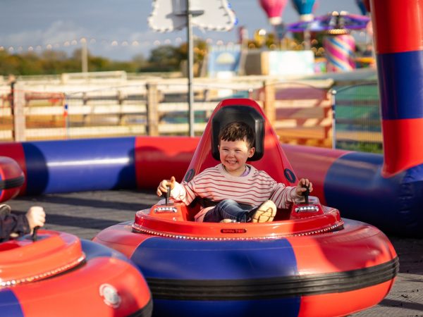 Web Adventure Park 6