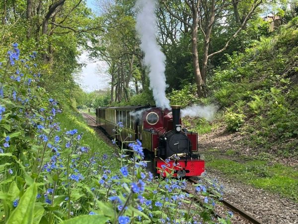 Whistlestop Valley 9