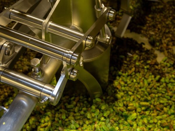 Wicklow Wolf Brewery 11