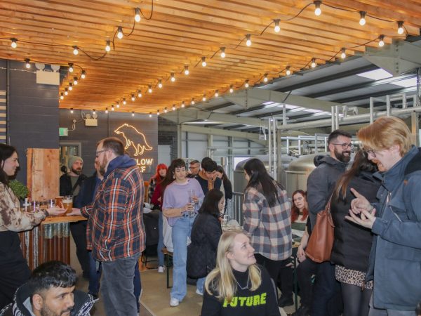 Wicklow Wolf Brewery 4