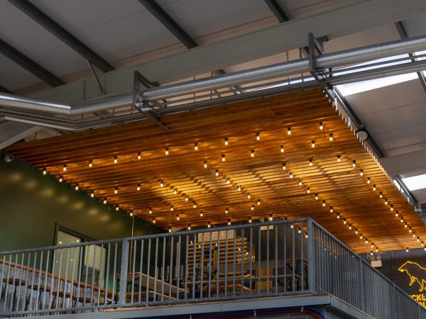 Wicklow Wolf Brewery 5