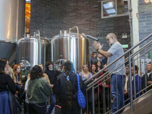 Wicklow Wolf Brewery 6