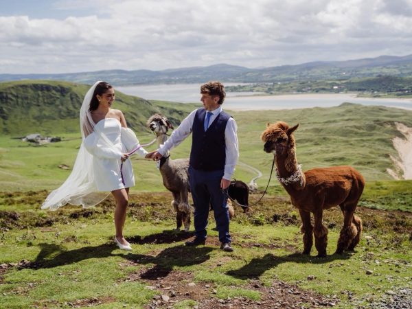 Wild Alpaca Way 2jpg