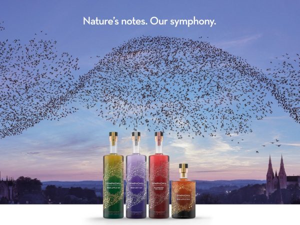 Woodlab Distillery 1