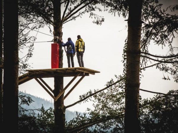 Zipworld Fforest 3