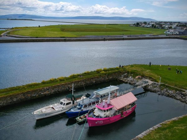 Cropped unnamed scaled 1