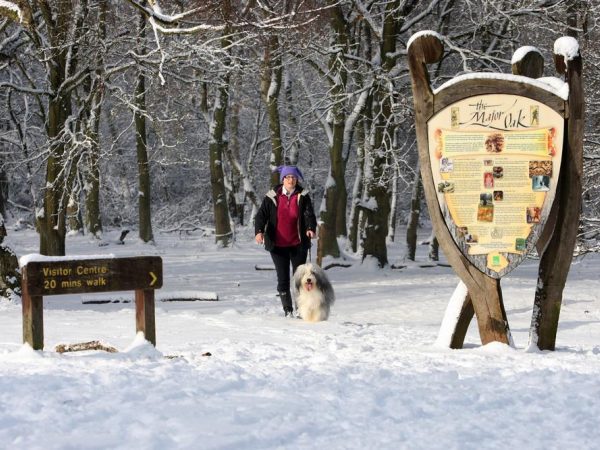 Herwood Forest Visitor Centre 5