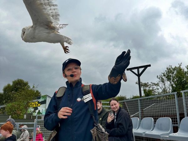 Ilwee Burren Experience 4
