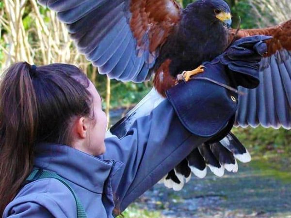 Ilwee Burren Experience 5