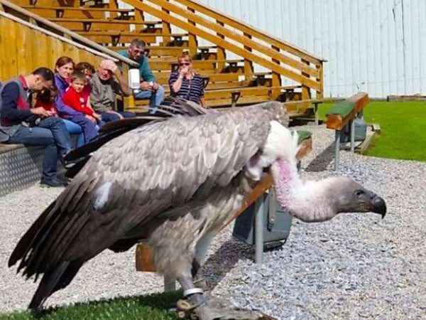 Ilwee Burren Experience 6