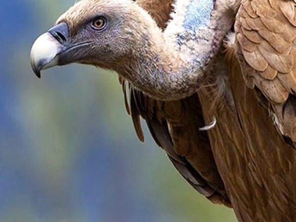 Ilwee Burren Experience 8