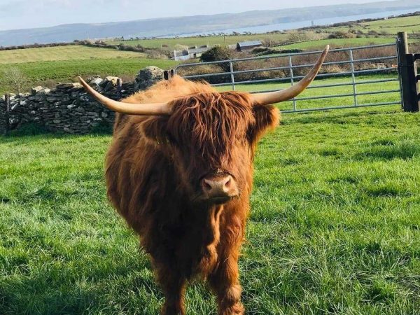 Moherfarm 3 B c6 C Agphh M