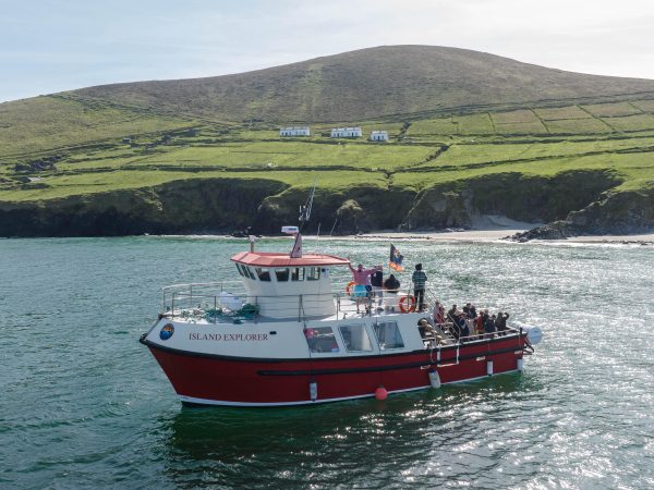 New boat dingle dolphin