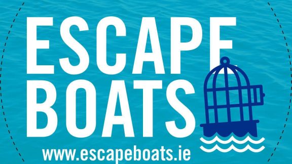 463617907 122113587764547998 7221844592412133388 n