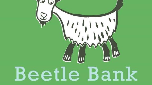 49575809 2465031036845166 9085322609616224256 n