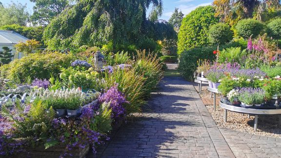 Annetts Garden Centre 1