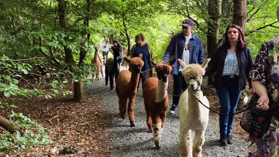 Ballyburren Outdoor Escapes 12